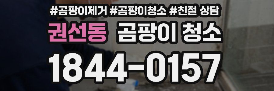 권선동 곰팡이 청소