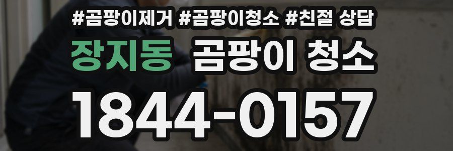 장지동 곰팡이 청소