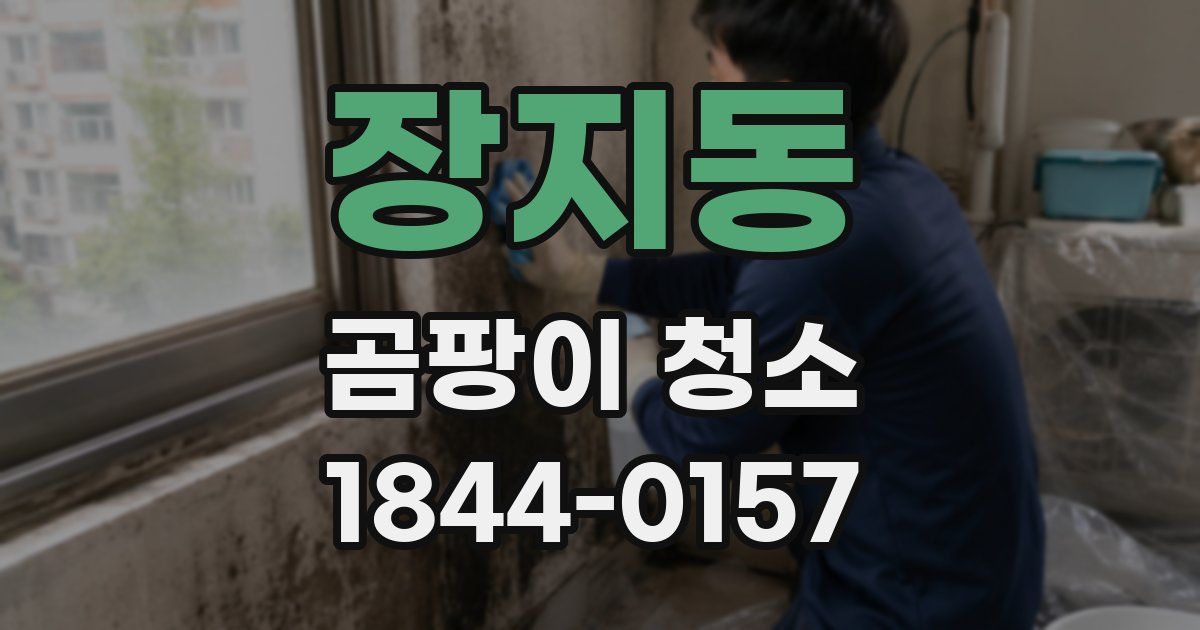 장지동 곰팡이 청소