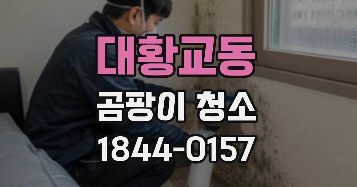 대황교동 곰팡이 청소