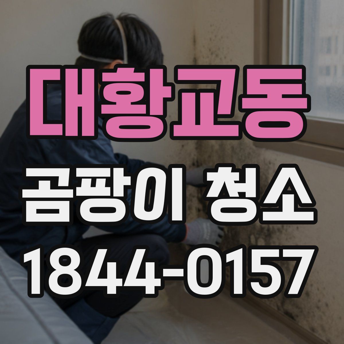 대황교동 곰팡이 청소
