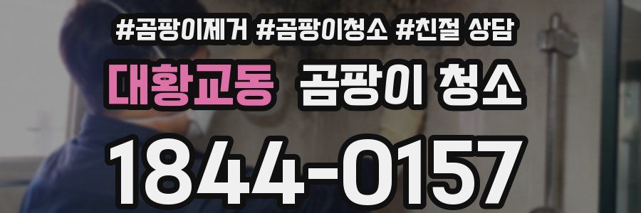 대황교동 곰팡이 청소