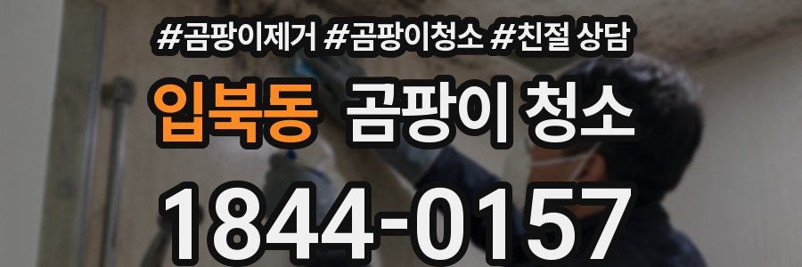 입북동 곰팡이 청소