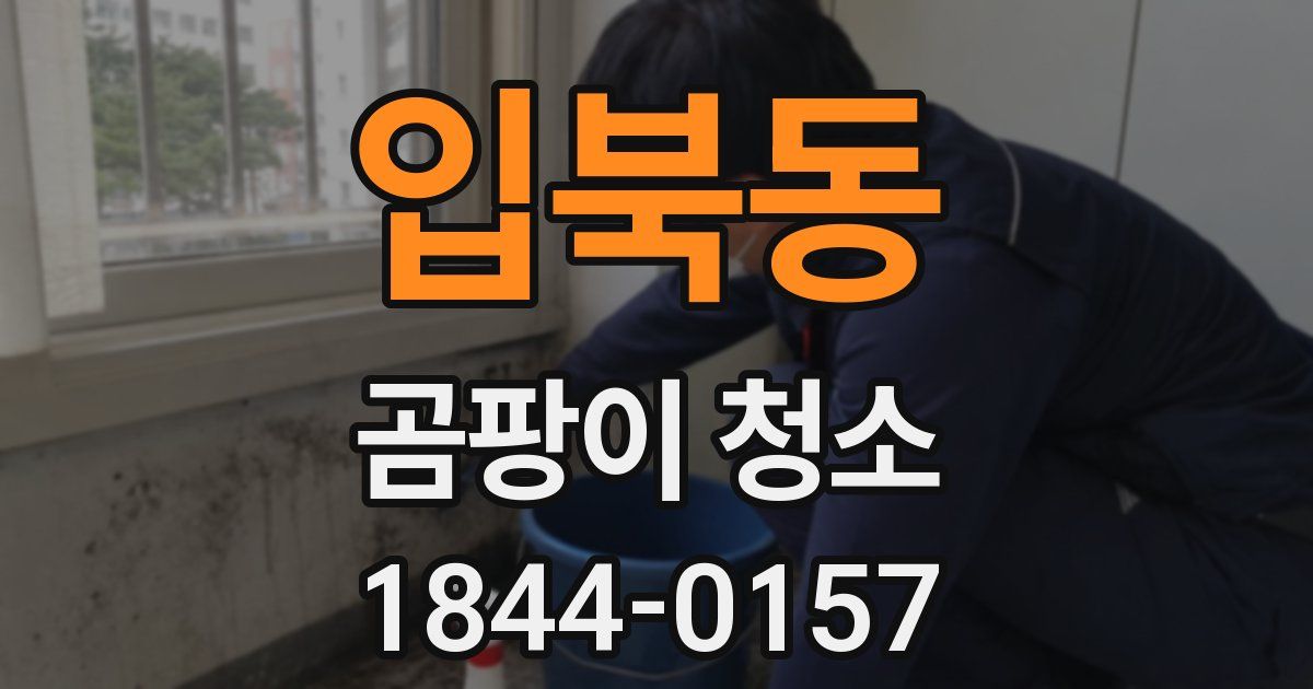 입북동 곰팡이 청소
