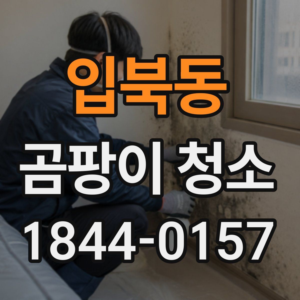 입북동 곰팡이 청소