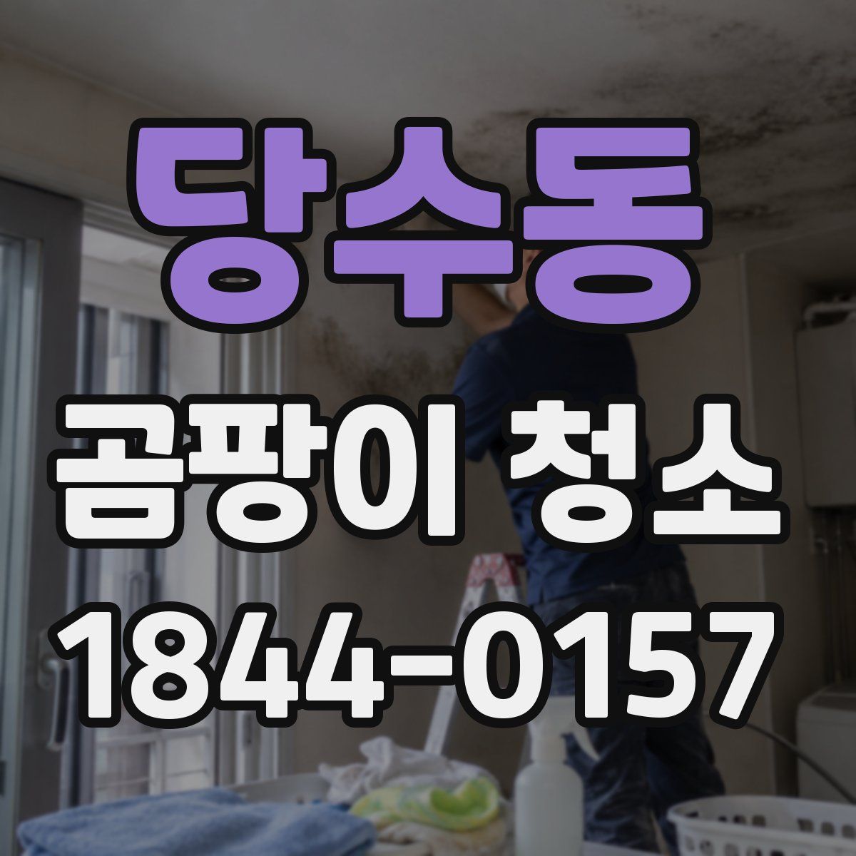 당수동 곰팡이 청소