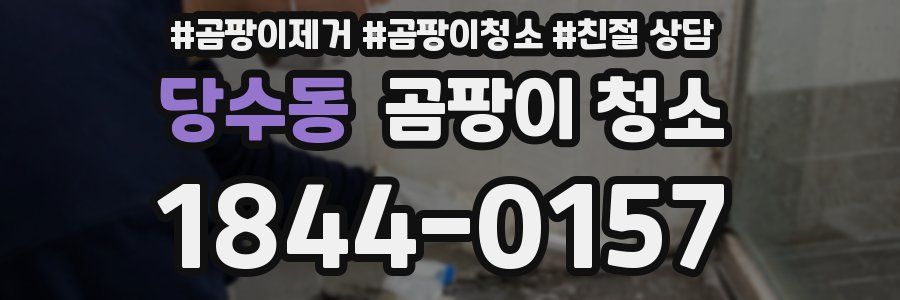 당수동 곰팡이 청소