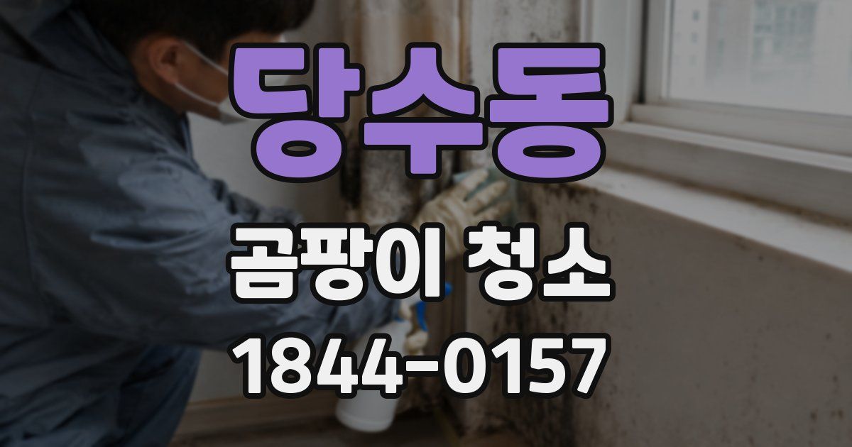 당수동 곰팡이 청소