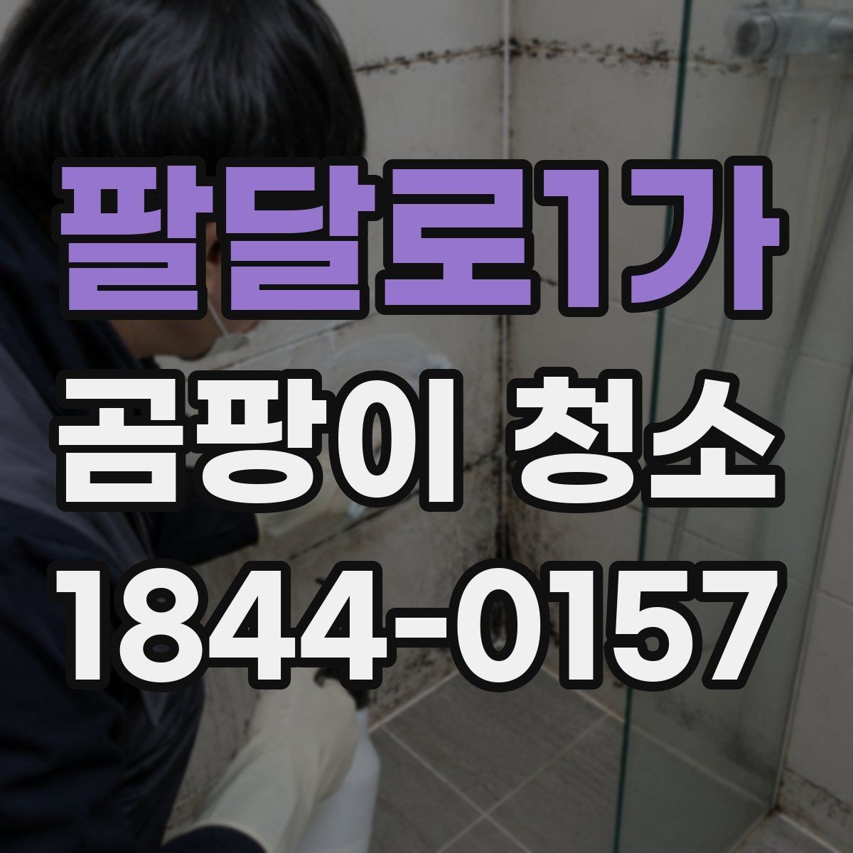 팔달로1가 곰팡이 청소 업체 후기 볼 때 미리 점검할 부분