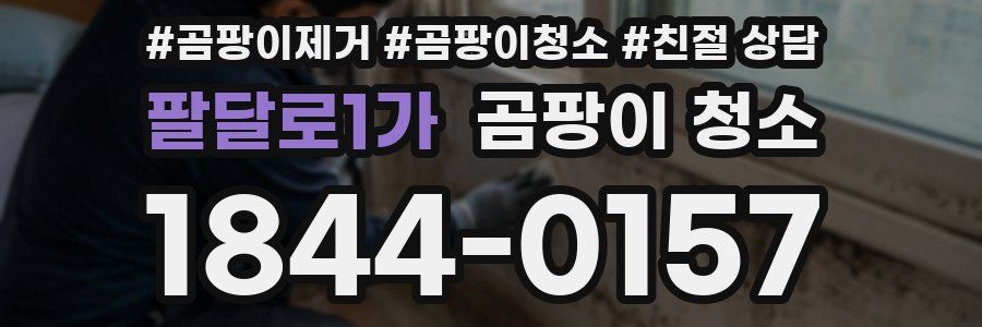 팔달로1가 곰팡이 청소