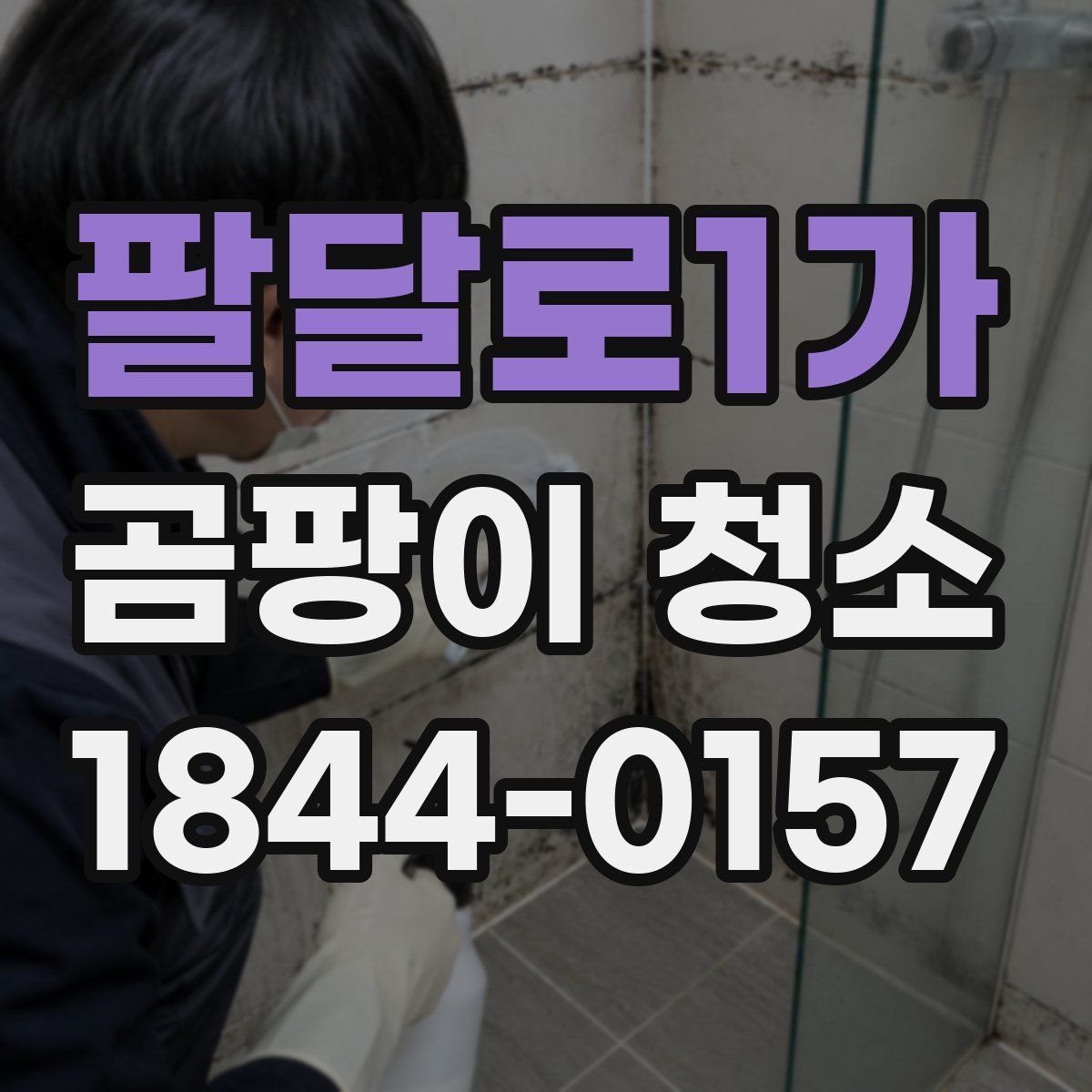 팔달로1가 곰팡이 청소