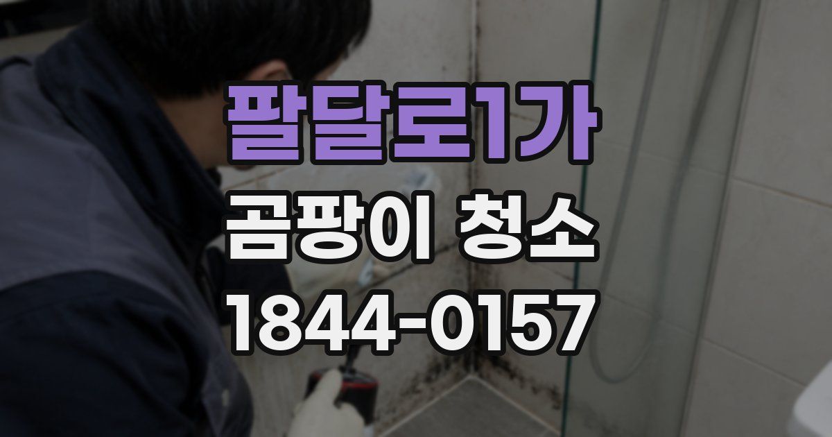 팔달로1가 곰팡이 청소
