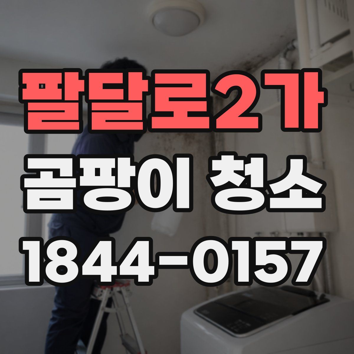 팔달로2가 곰팡이 청소