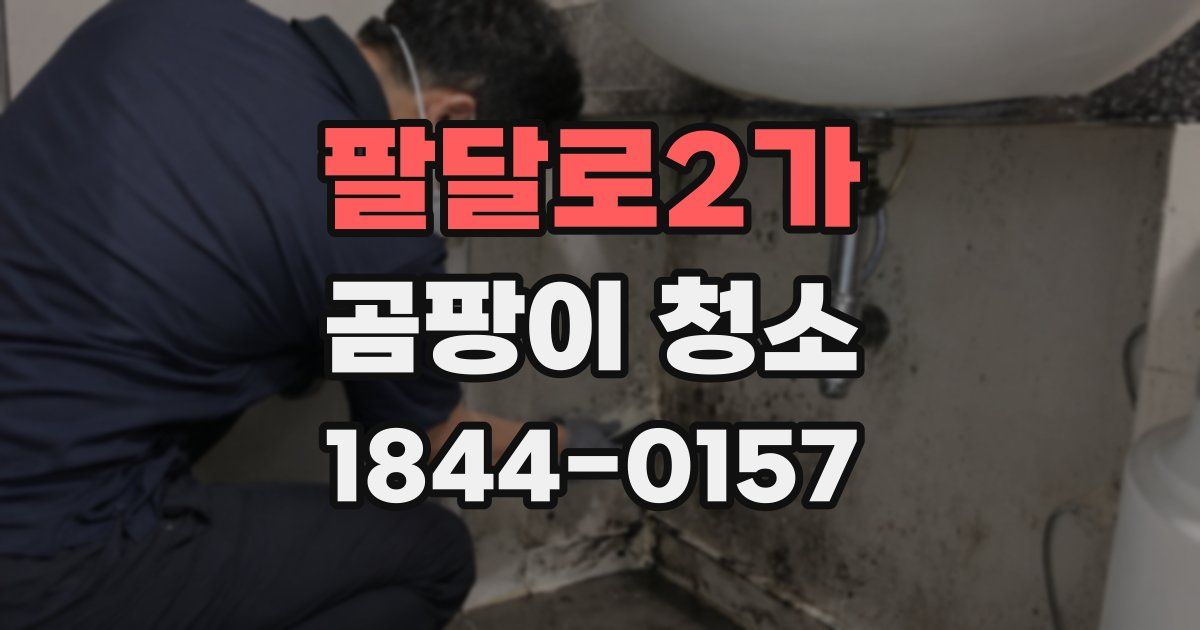 팔달로2가 곰팡이 청소