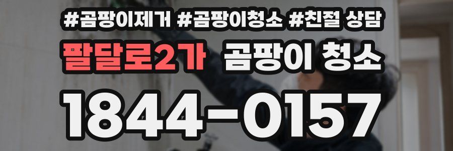 팔달로2가 곰팡이 청소