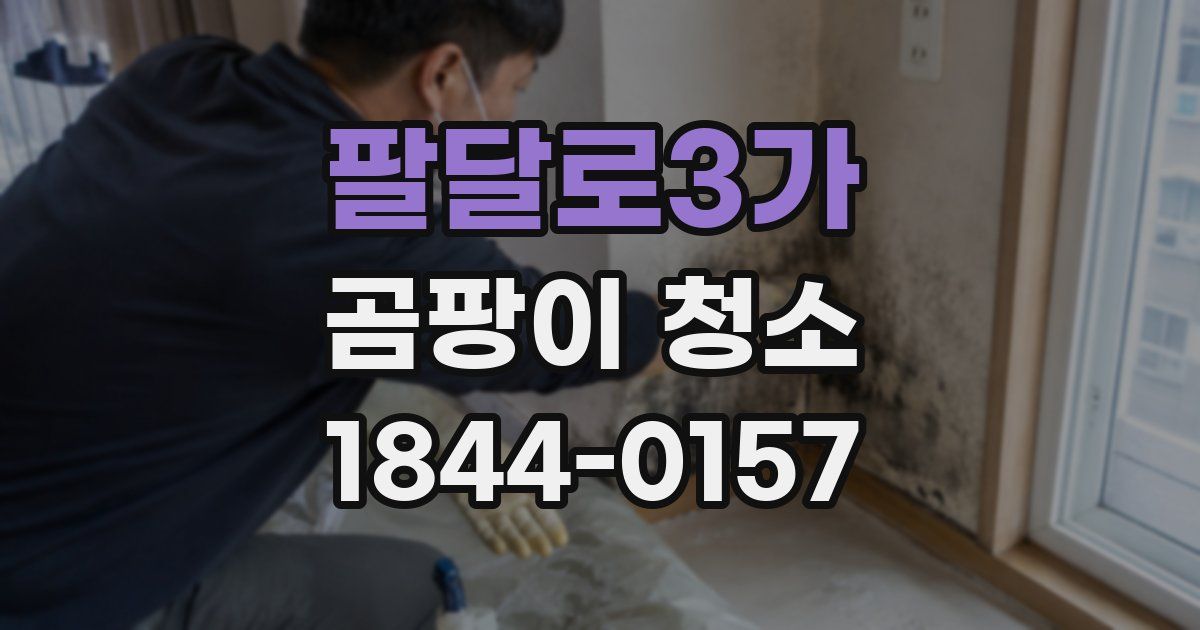팔달로3가 곰팡이 청소