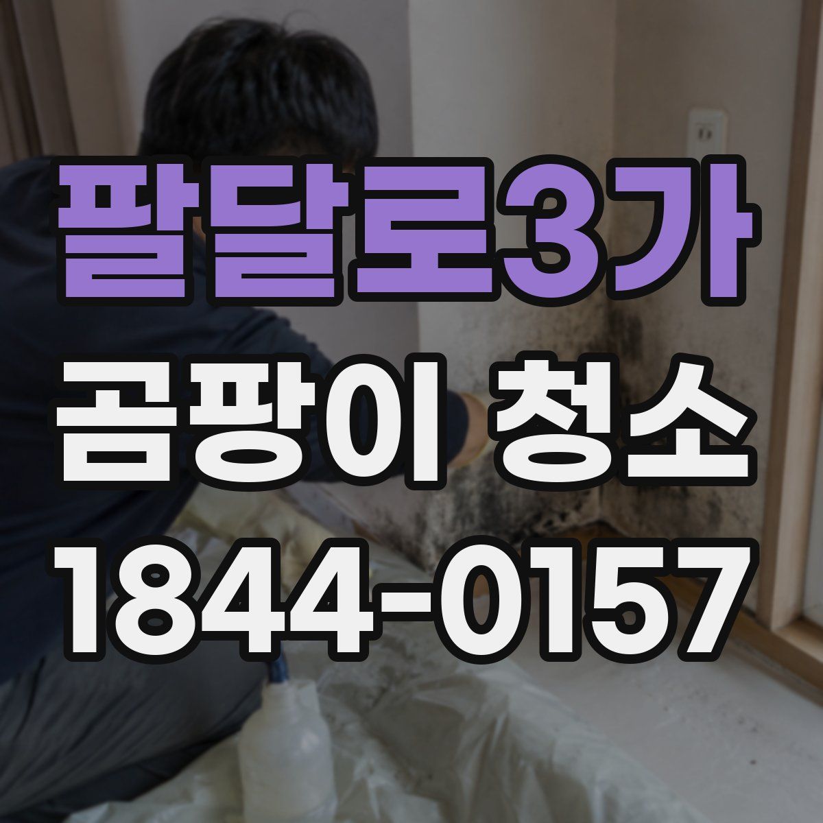 팔달로3가 곰팡이 청소