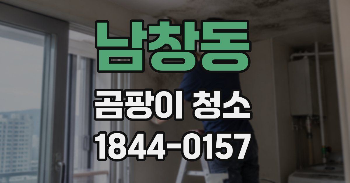남창동 곰팡이 청소