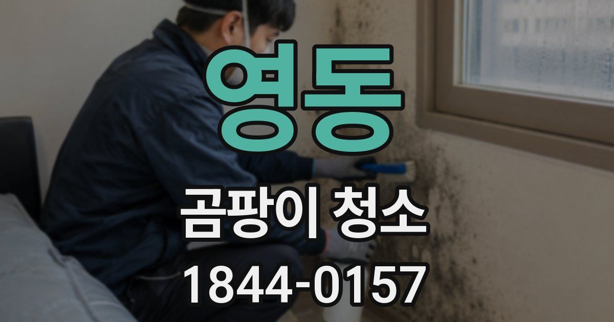 영동 곰팡이 청소