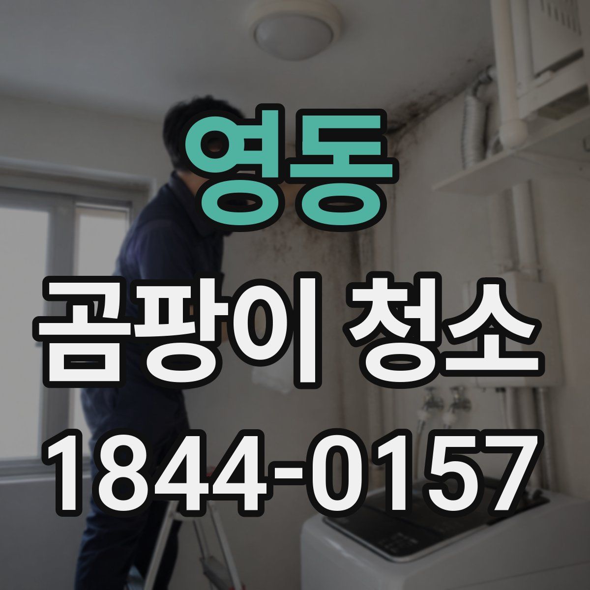 영동 곰팡이 청소