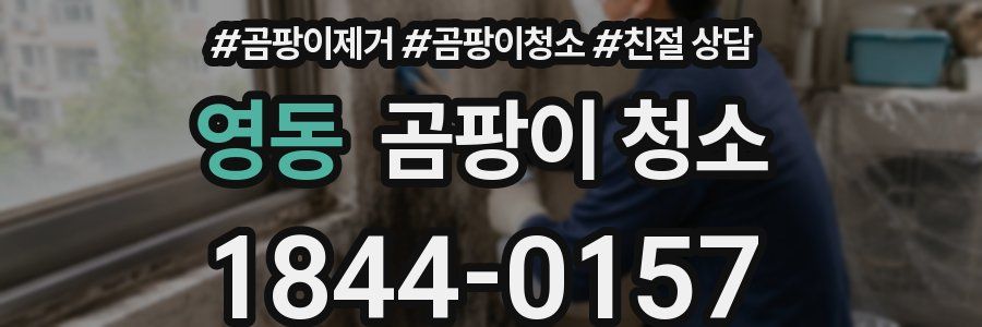 영동 곰팡이 청소