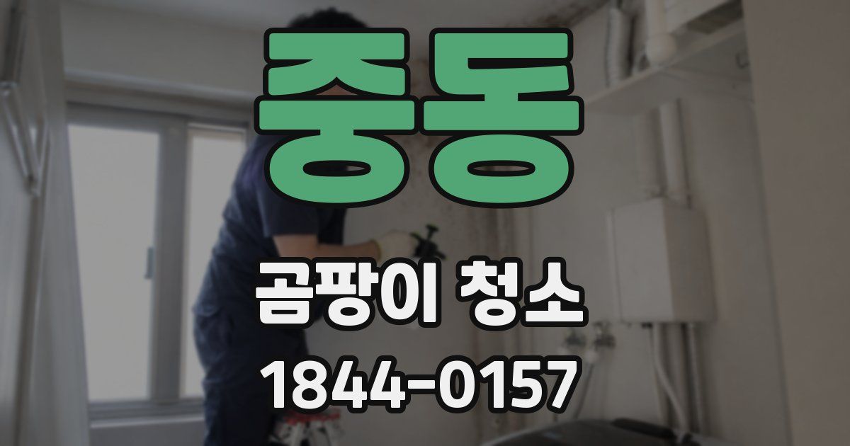 중동 곰팡이 청소