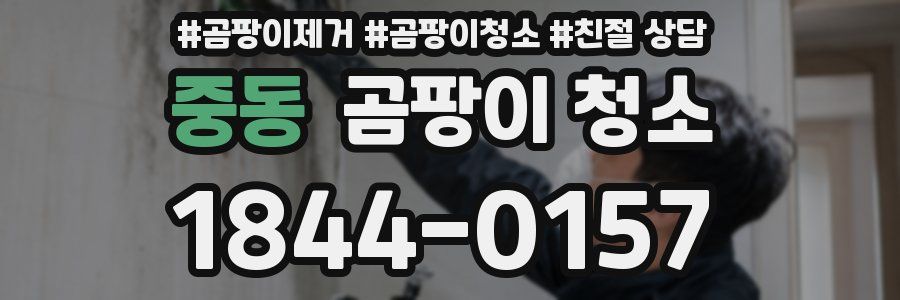 중동 곰팡이 청소