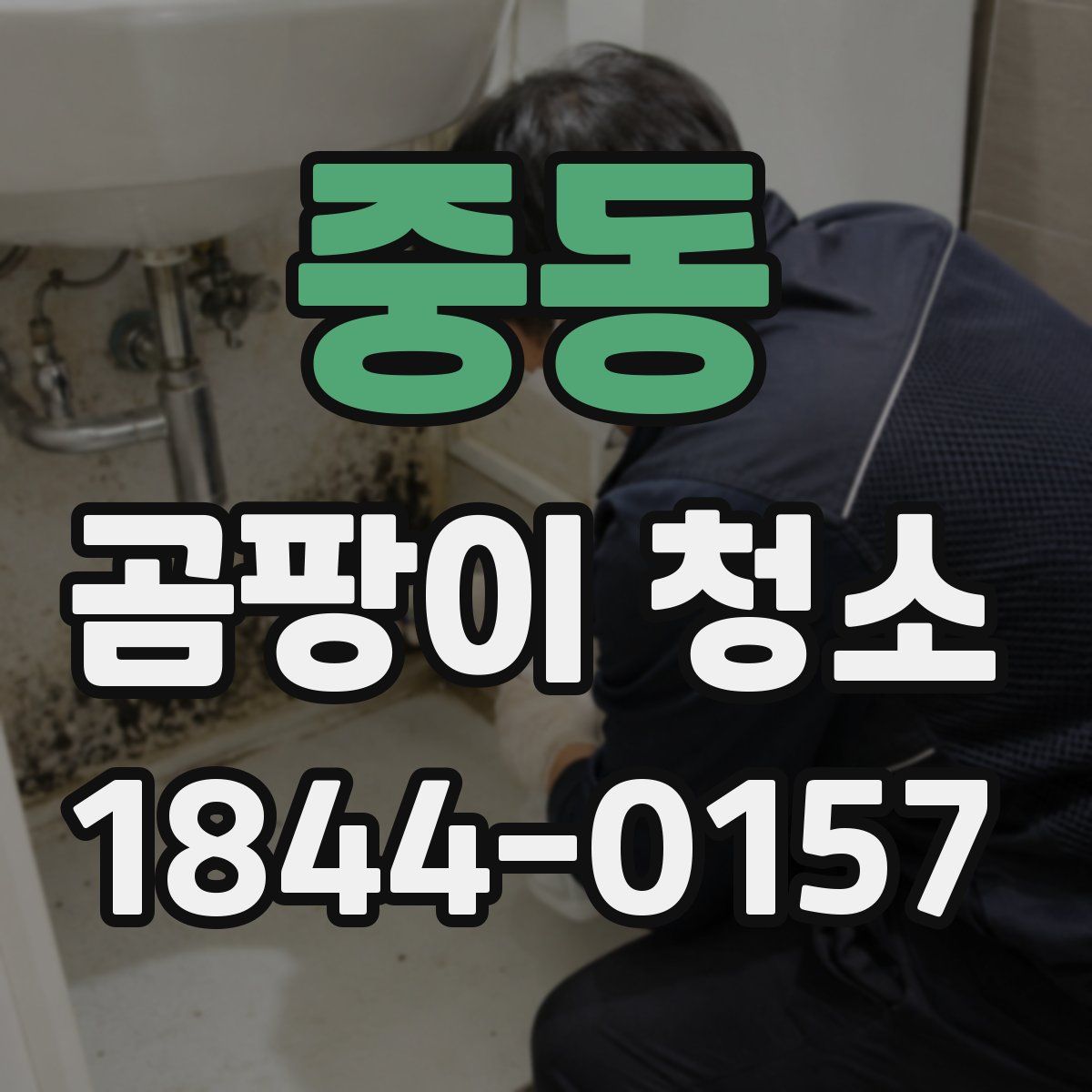 중동 곰팡이 청소
