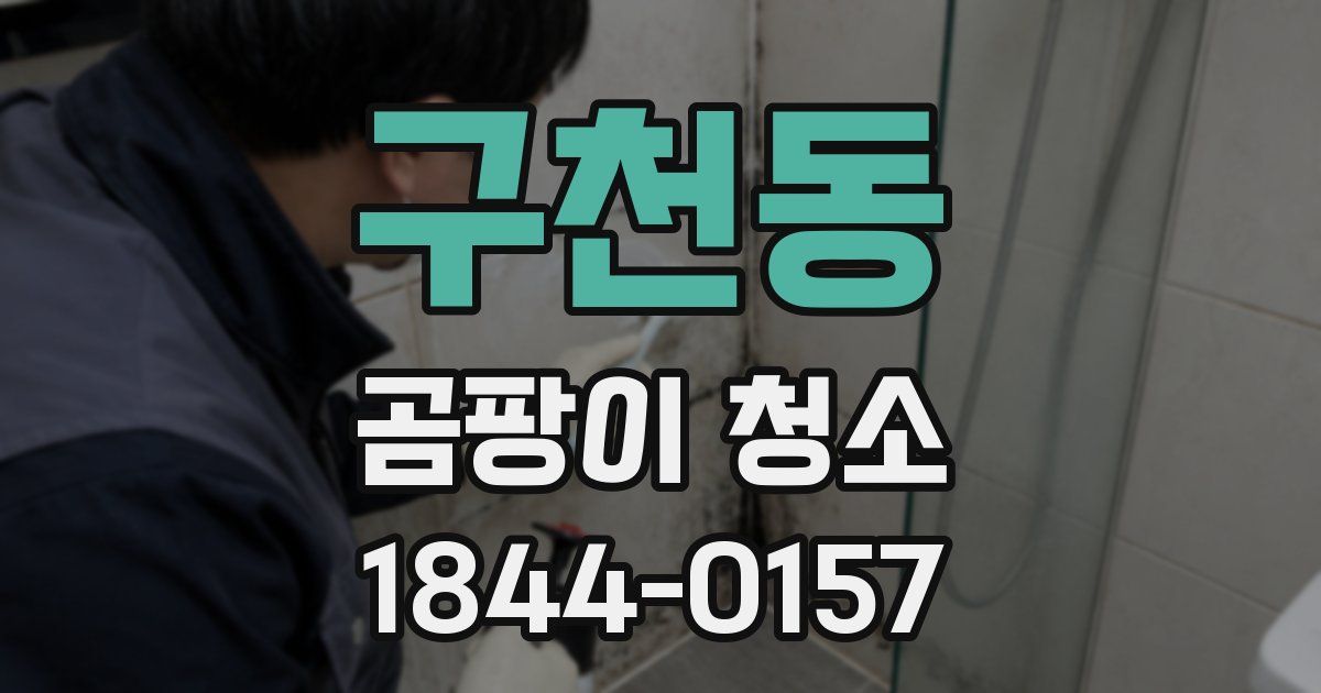 구천동 곰팡이 청소