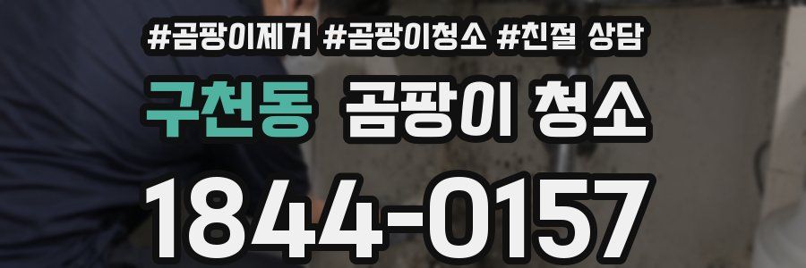 구천동 곰팡이 청소