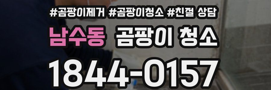 남수동 곰팡이 청소