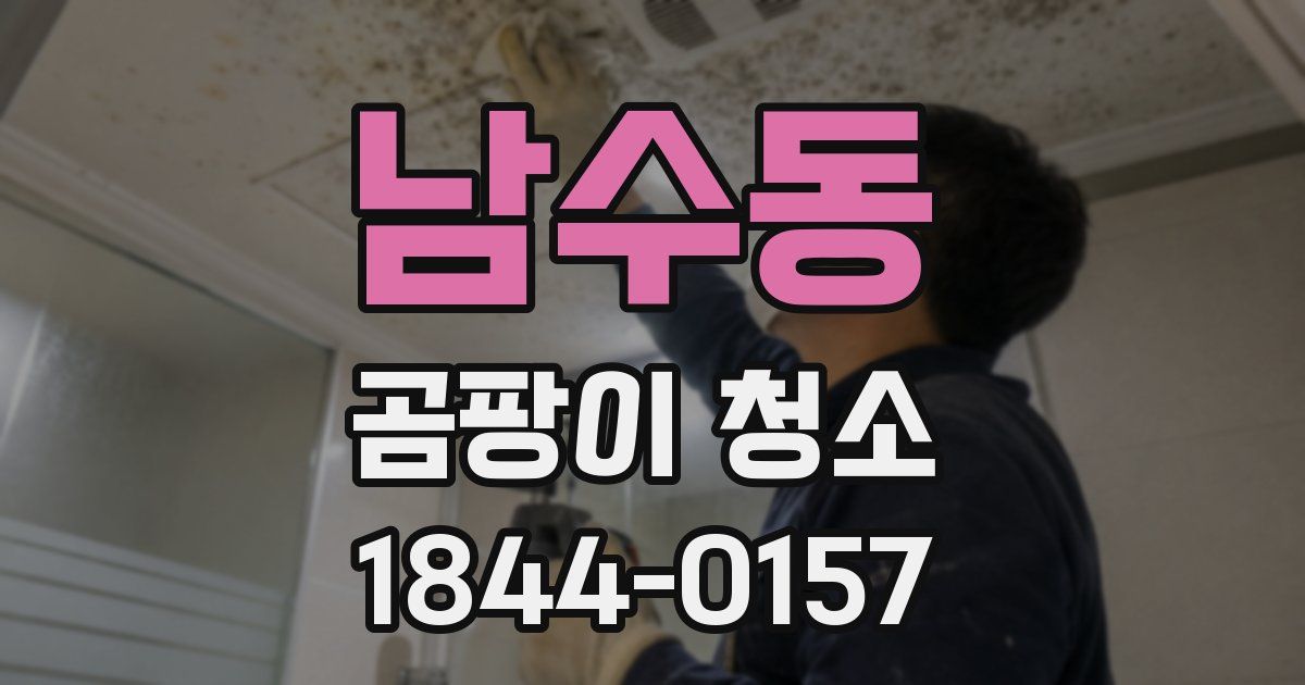 남수동 곰팡이 청소