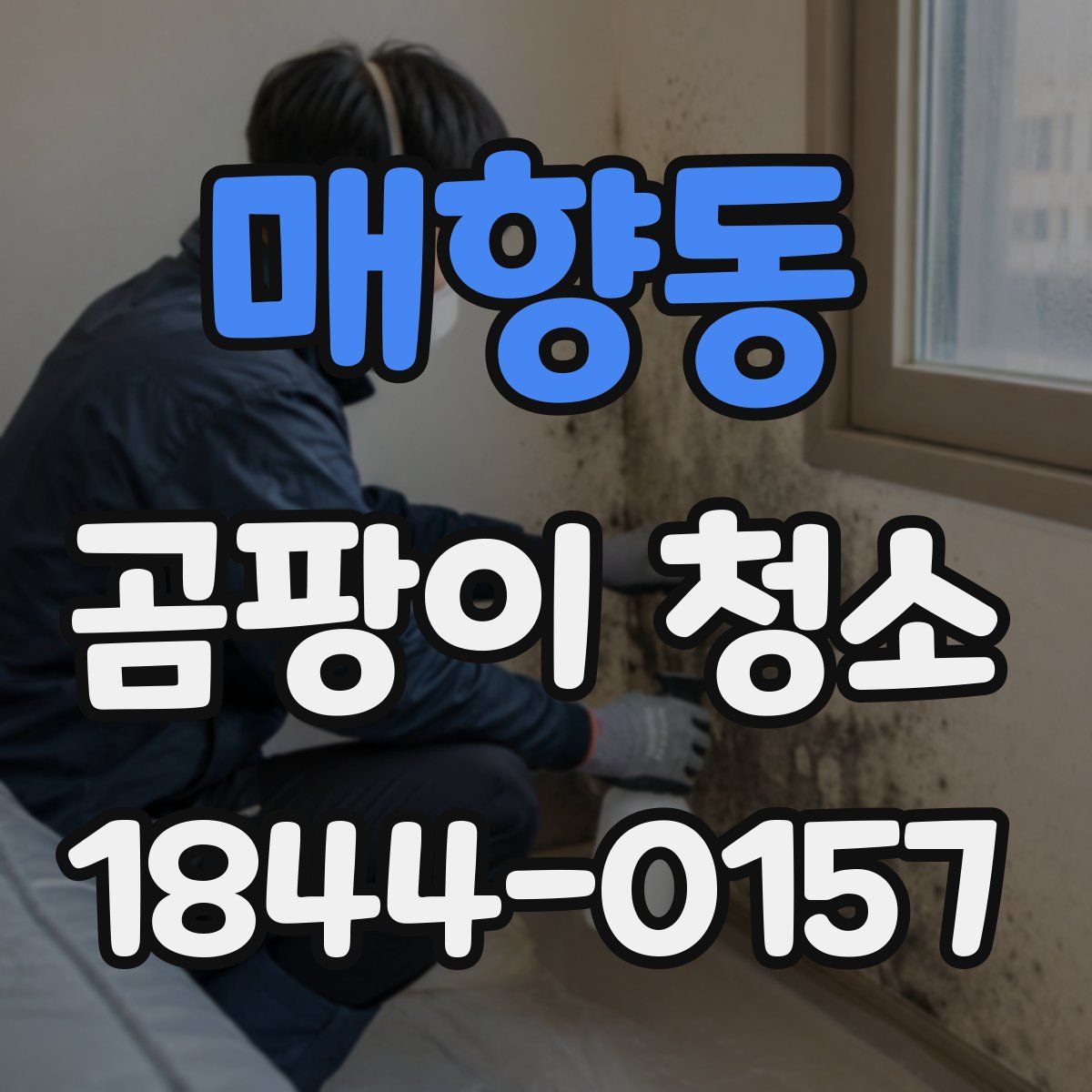 매향동 곰팡이 청소