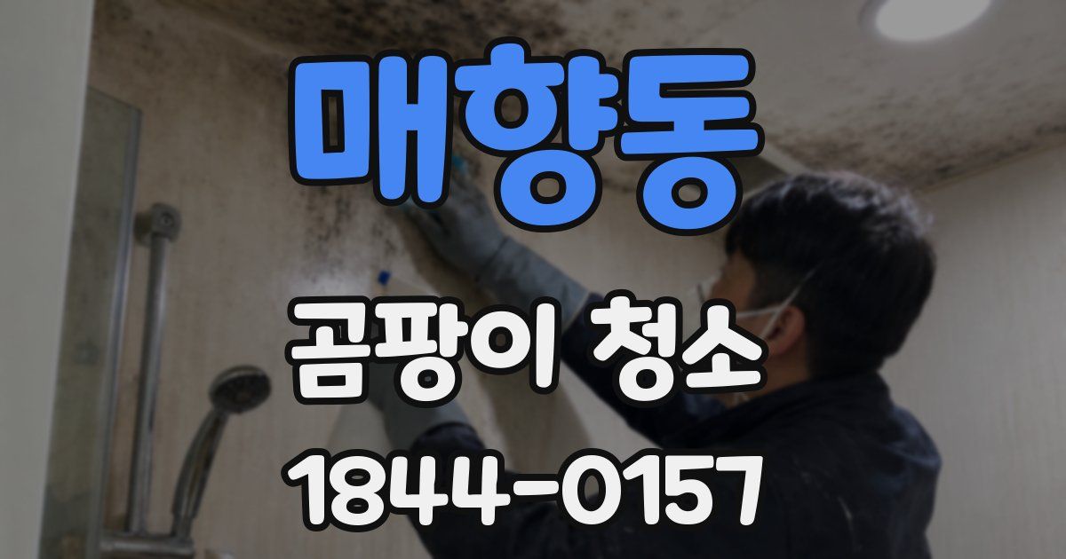 매향동 곰팡이 청소