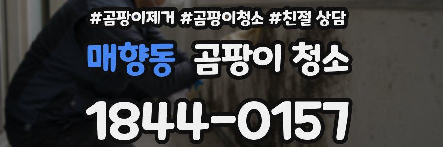 매향동 곰팡이 청소