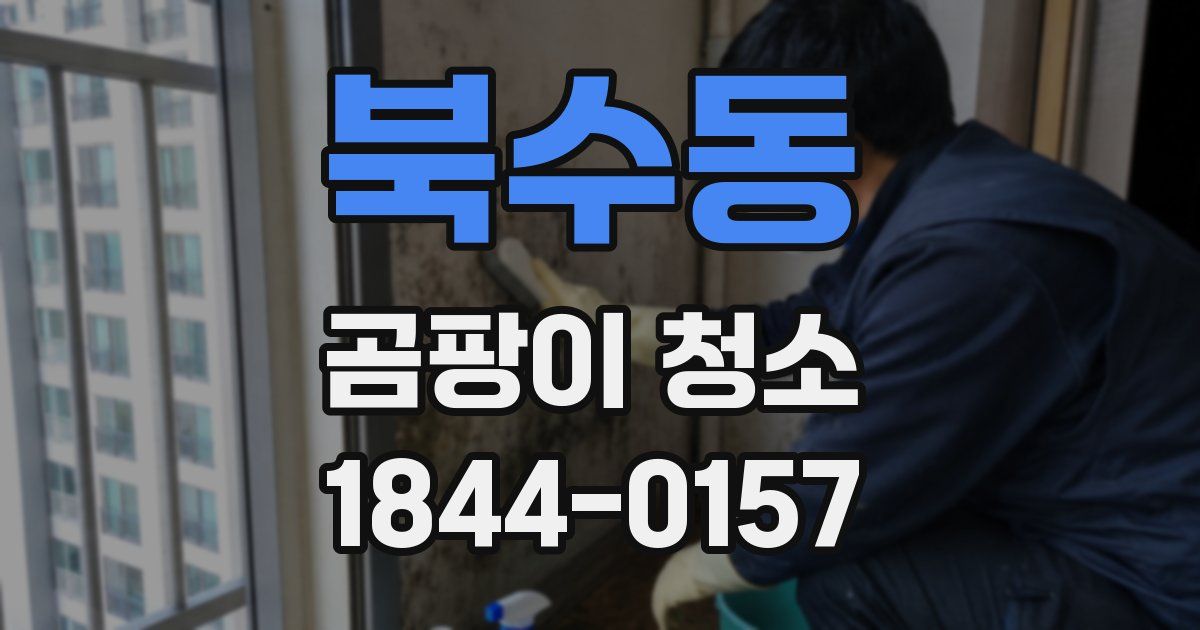 북수동 곰팡이 청소
