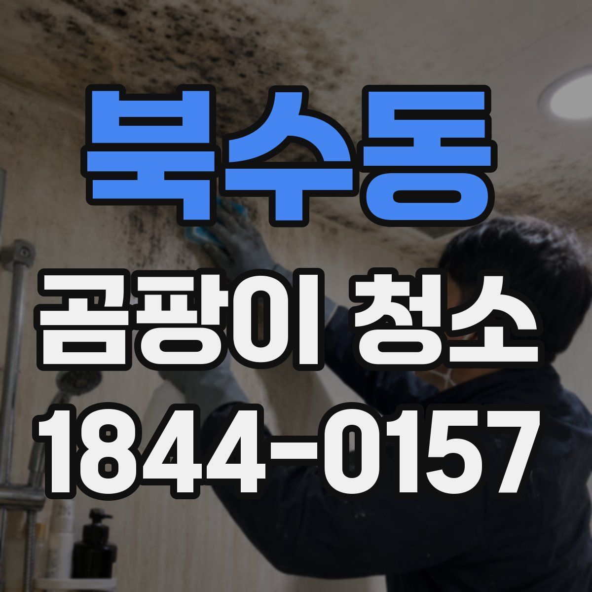 북수동 곰팡이 청소