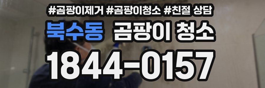 북수동 곰팡이 청소