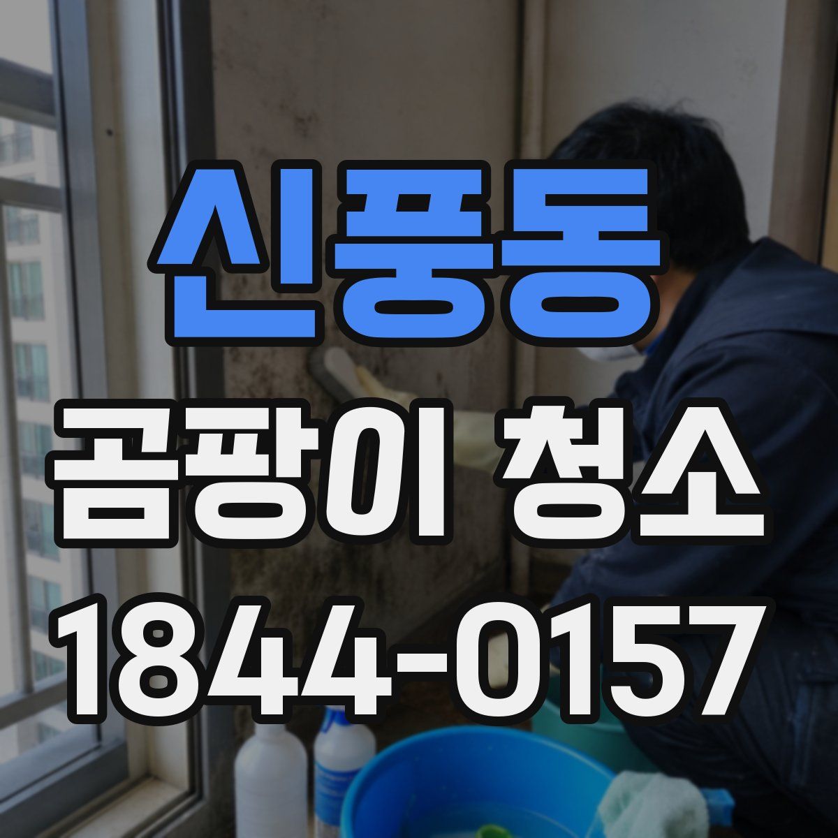 신풍동 곰팡이 청소