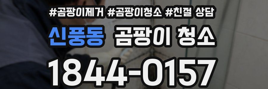 신풍동 곰팡이 청소