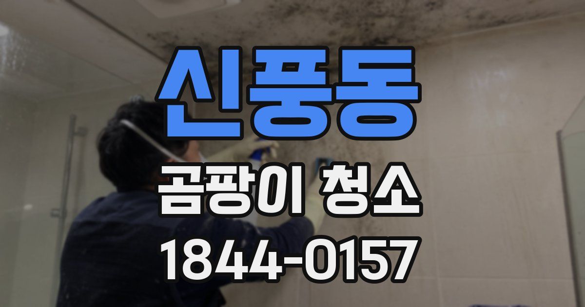 신풍동 곰팡이 청소