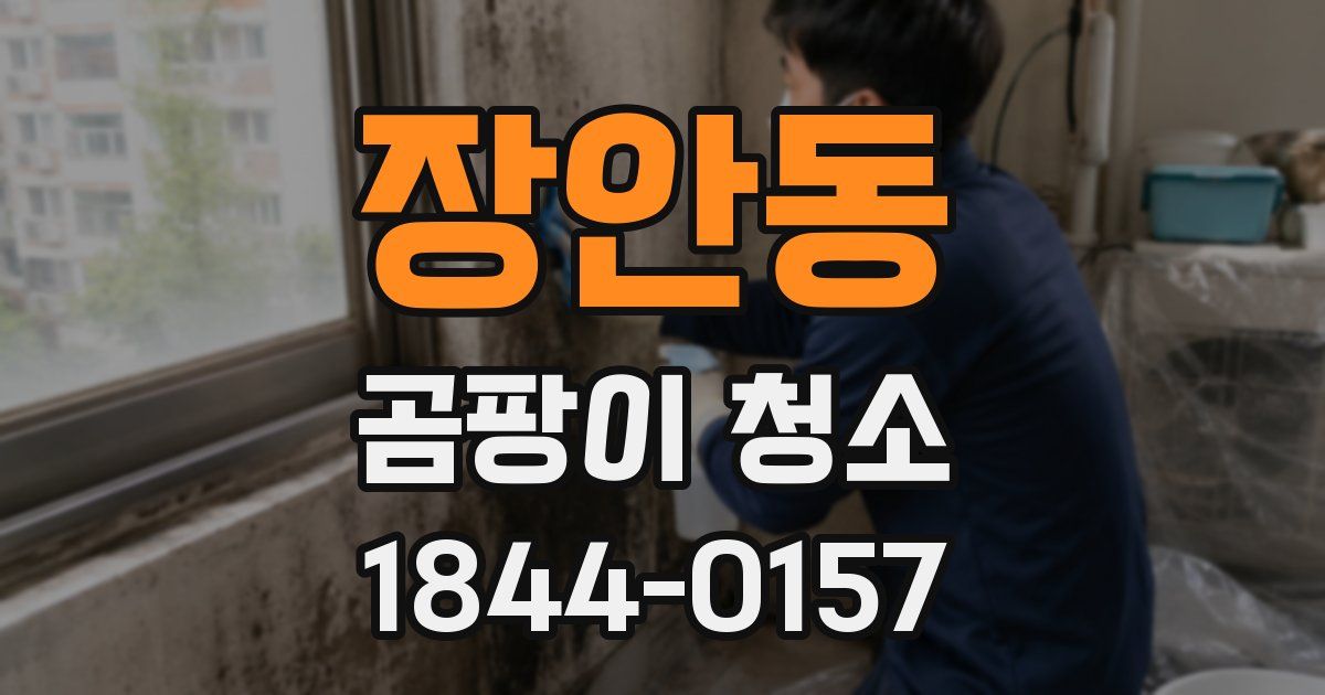 장안동 곰팡이 청소