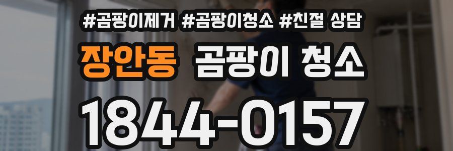 장안동 곰팡이 청소