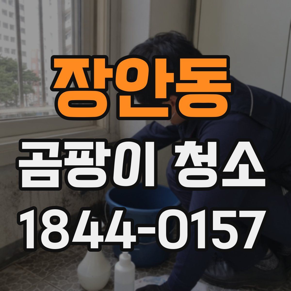장안동 곰팡이 청소