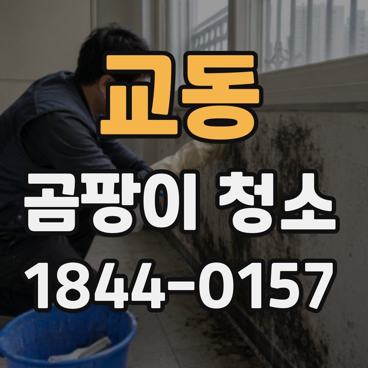 교동 곰팡이 청소 후 마감 상태를 확인하는 법