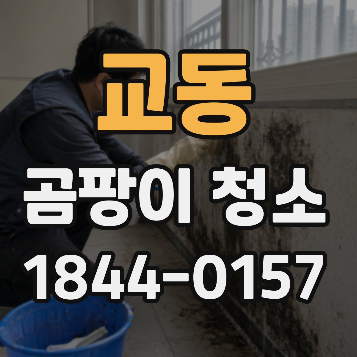 교동 곰팡이 청소