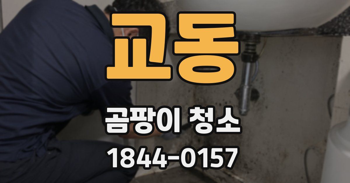 교동 곰팡이 청소