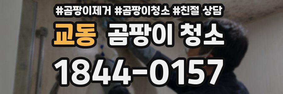 교동 곰팡이 청소