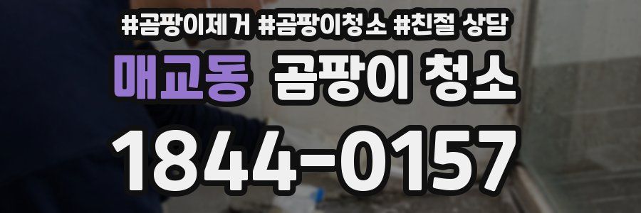 매교동 곰팡이 청소
