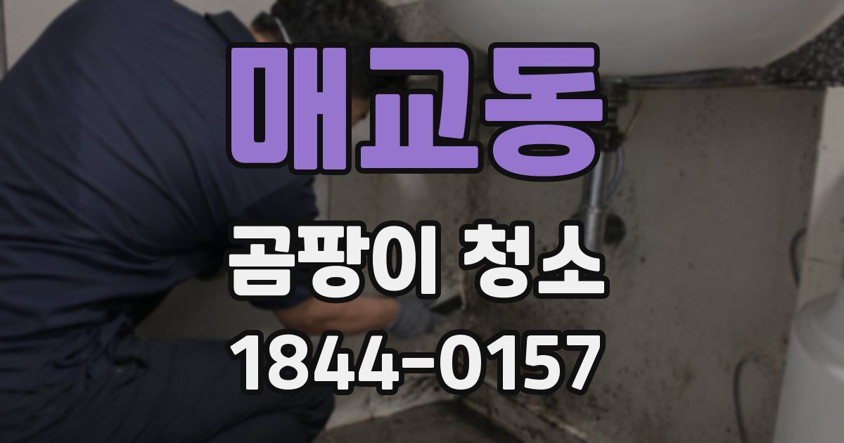 매교동 곰팡이 청소
